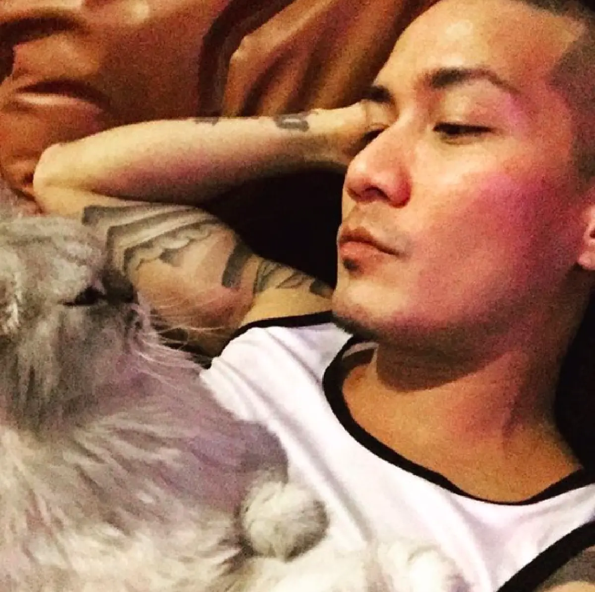 5 หนุ่มหล่อคนบันเทิงทาสแมว ที่คลั่งในเจ้าเหมียวอย่างมาก