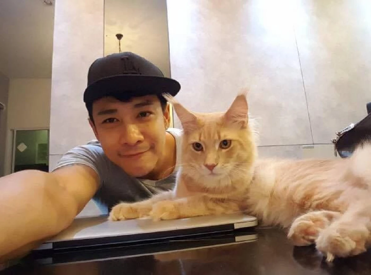 5 หนุ่มหล่อคนบันเทิงทาสแมว ที่คลั่งในเจ้าเหมียวอย่างมาก
