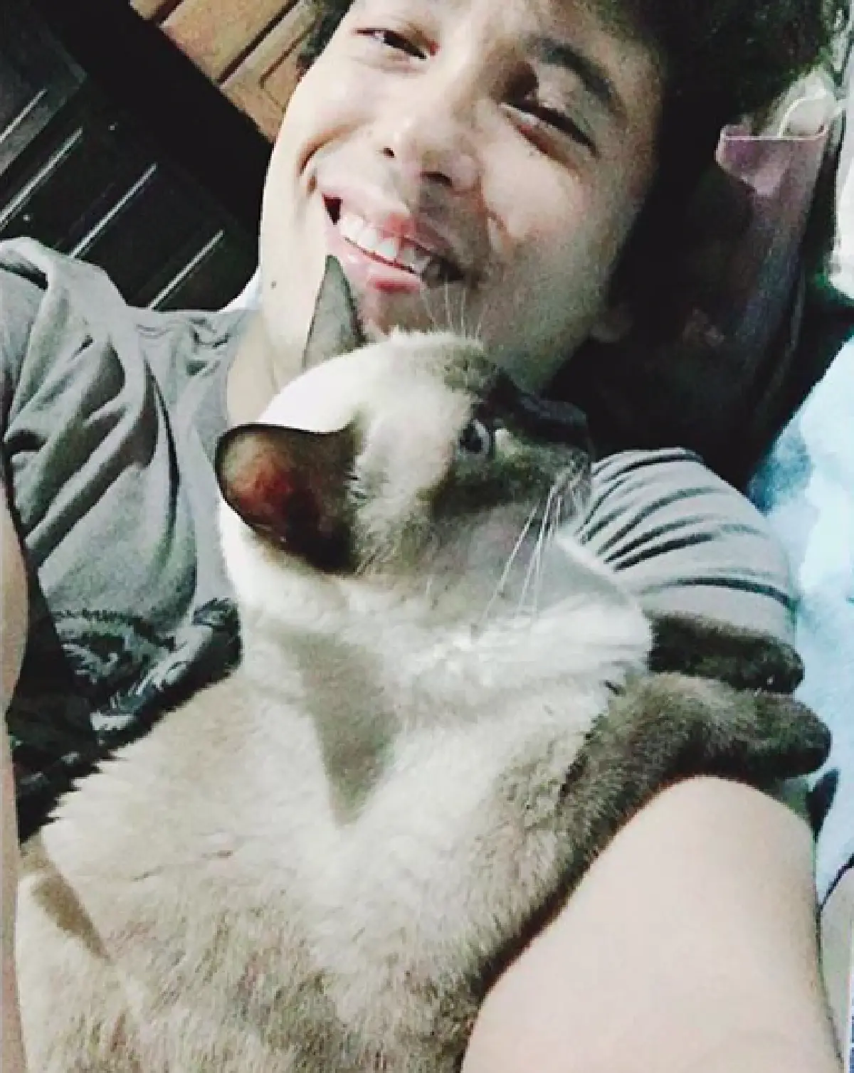 5 หนุ่มหล่อคนบันเทิงทาสแมว ที่คลั่งในเจ้าเหมียวอย่างมาก