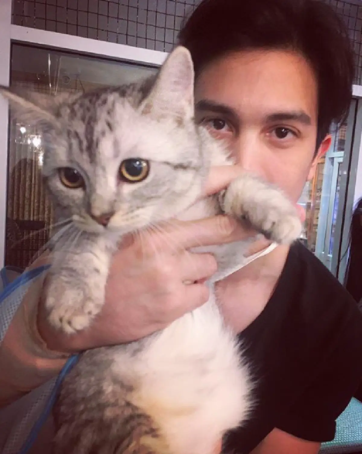 5 หนุ่มหล่อคนบันเทิงทาสแมว ที่คลั่งในเจ้าเหมียวอย่างมาก