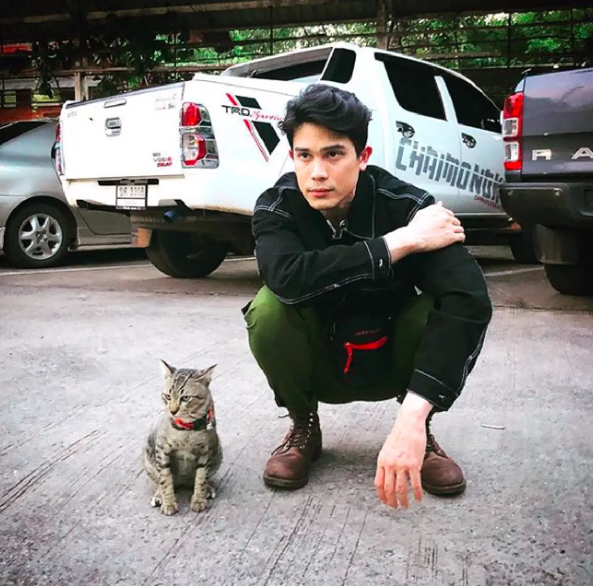 5 หนุ่มหล่อคนบันเทิงทาสแมว ที่คลั่งในเจ้าเหมียวอย่างมาก