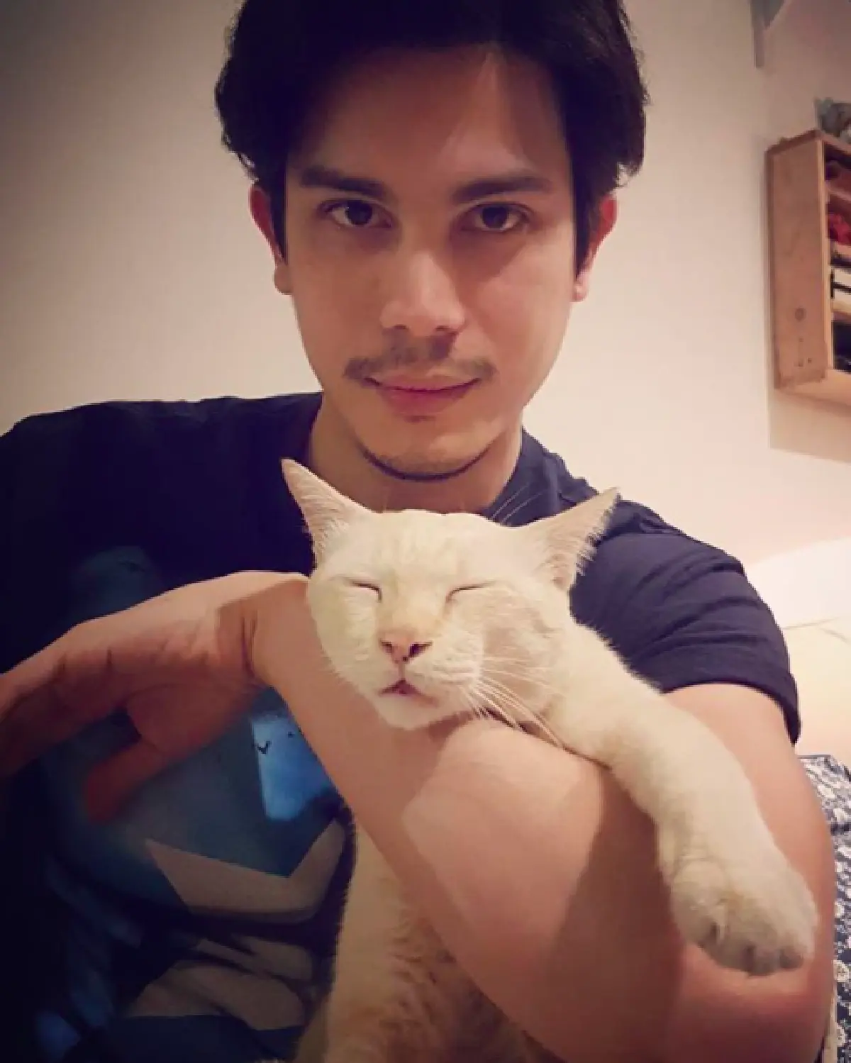 5 หนุ่มหล่อคนบันเทิงทาสแมว ที่คลั่งในเจ้าเหมียวอย่างมาก