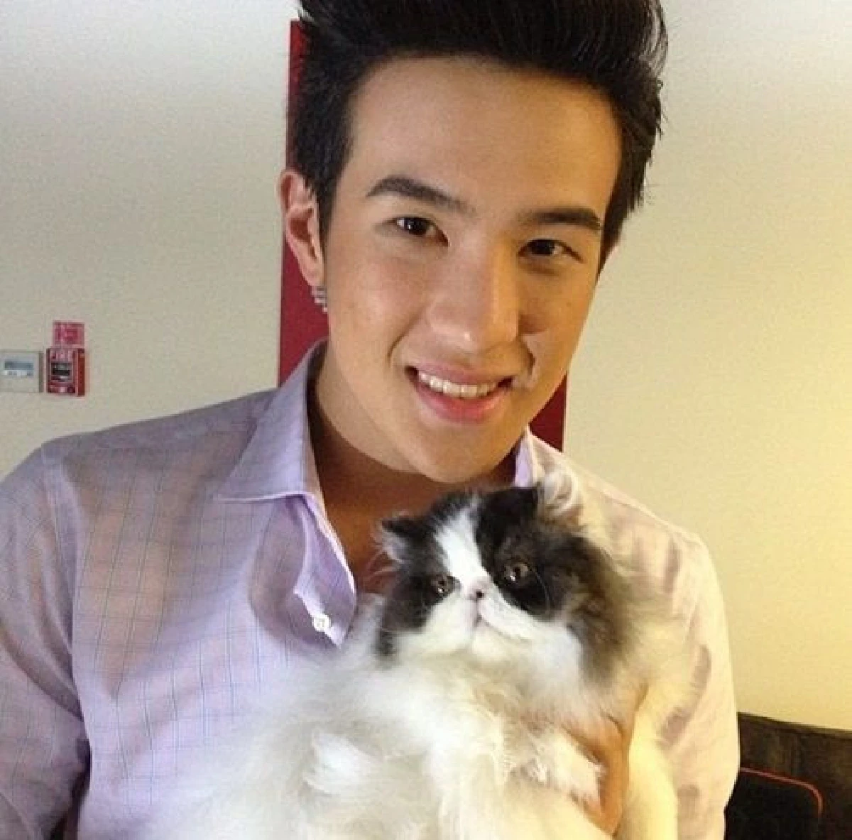 5 หนุ่มหล่อคนบันเทิงทาสแมว ที่คลั่งในเจ้าเหมียวอย่างมาก