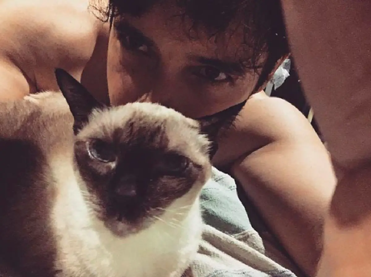 5 หนุ่มหล่อคนบันเทิงทาสแมว ที่คลั่งในเจ้าเหมียวอย่างมาก