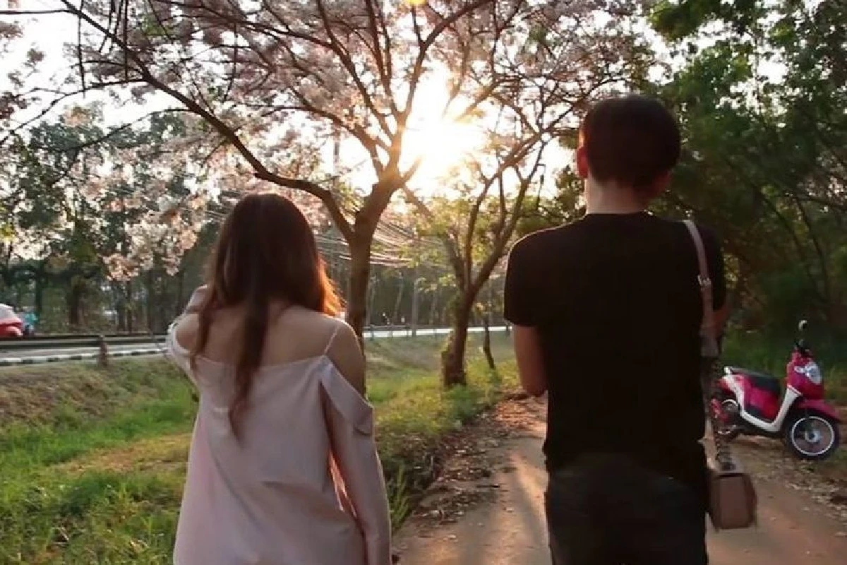 คนแห่ชม“ซากุระอีสาน”บานทั่วม.ขอนแก่นเผยเป็นต้นไม้ทรงปลูกปี2510