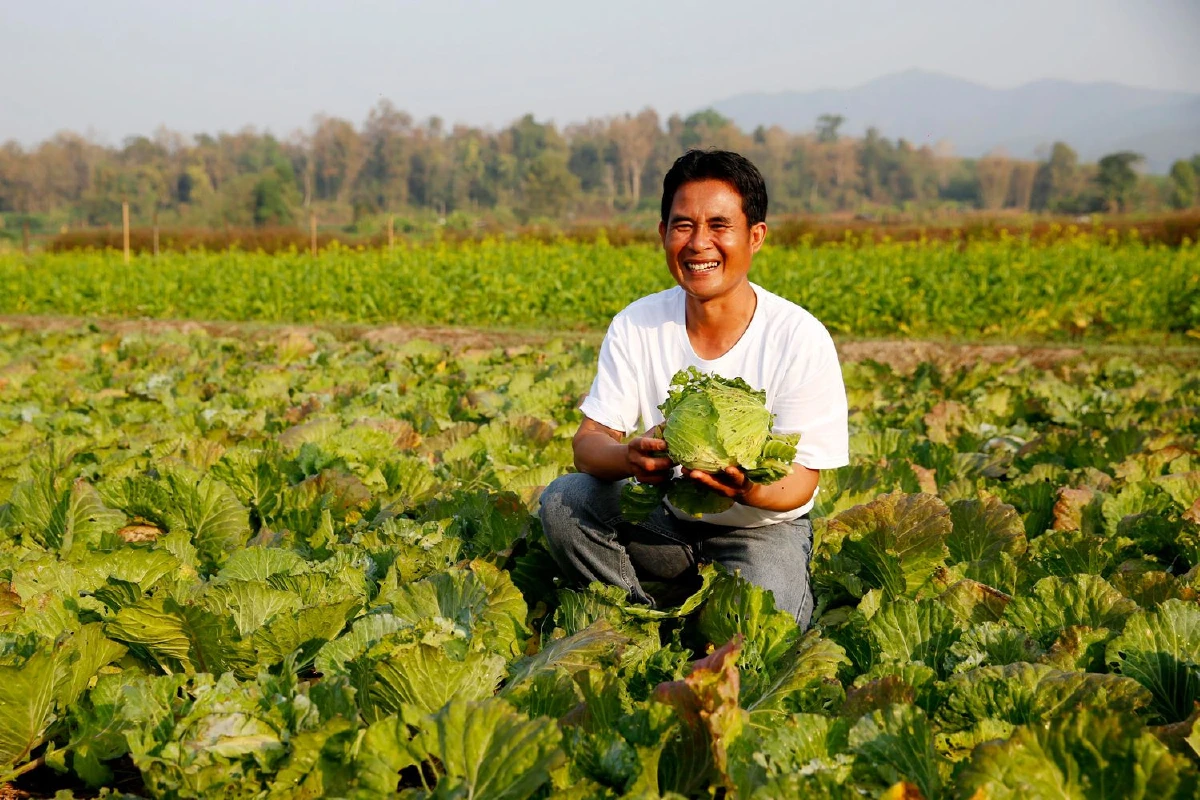 ฟังเสียงเงียบไพเราะ เดินเลาะ ‘ภูซาง’