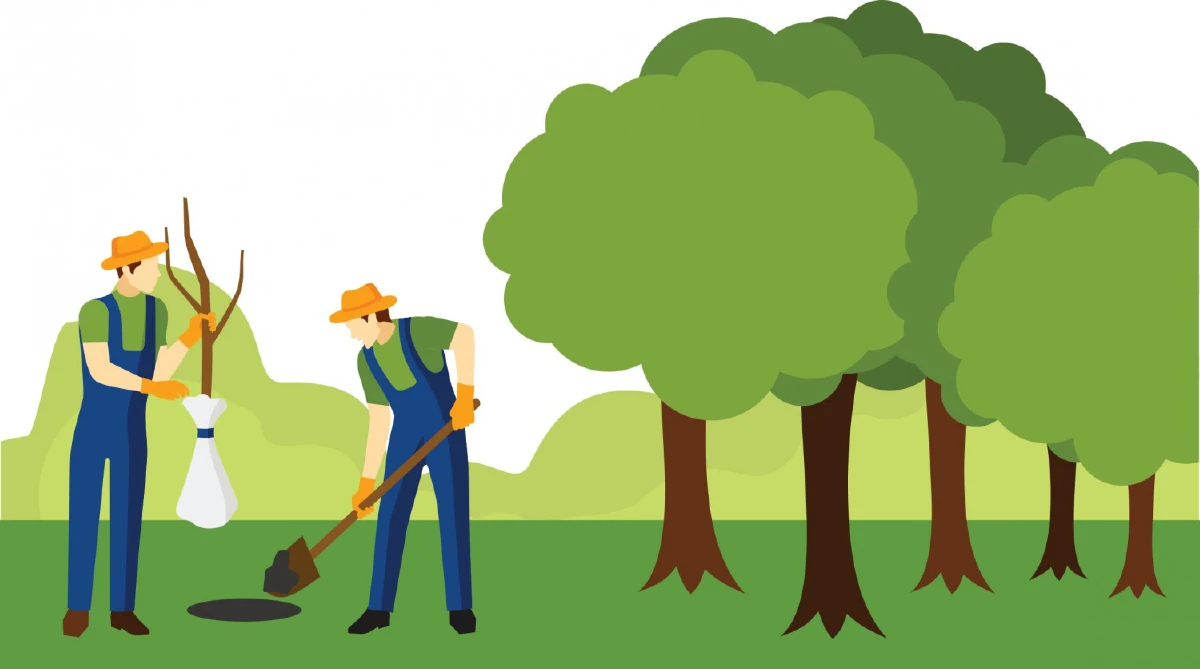 ปั้นรายได้...ให้ที่ดินว่าง