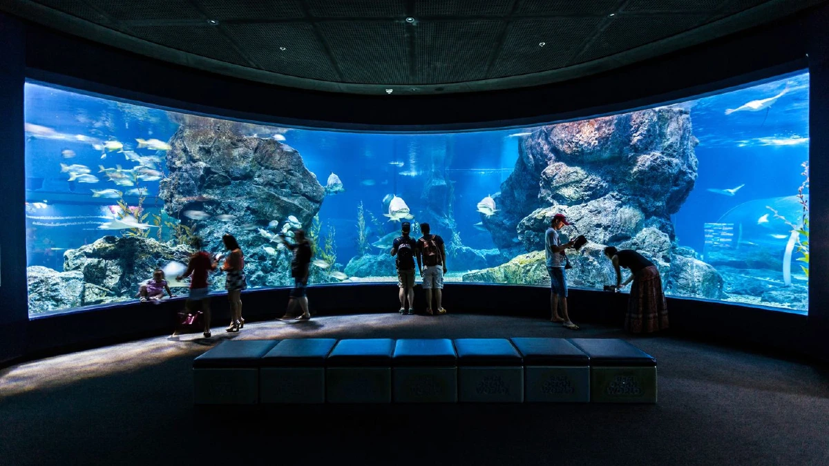 "วันสยาม"  เปิดประสบการณ์มหัศจรรย์สุดพิเศษ ค้นพบเดสติเนชั่นแห่งความสุขกับครอบครัวที่ไม่ไปไม่ได้แล้ว