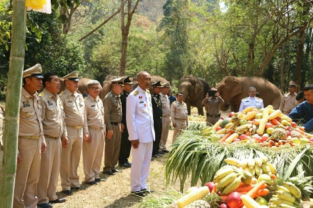 สมเด็จพระเจ้าอยู่หัว รัชกาลที่ 10 พระราชทานอาหารช้าง ศูนย์บริบาลช้างบ้านปางหละ จ.ลำปาง