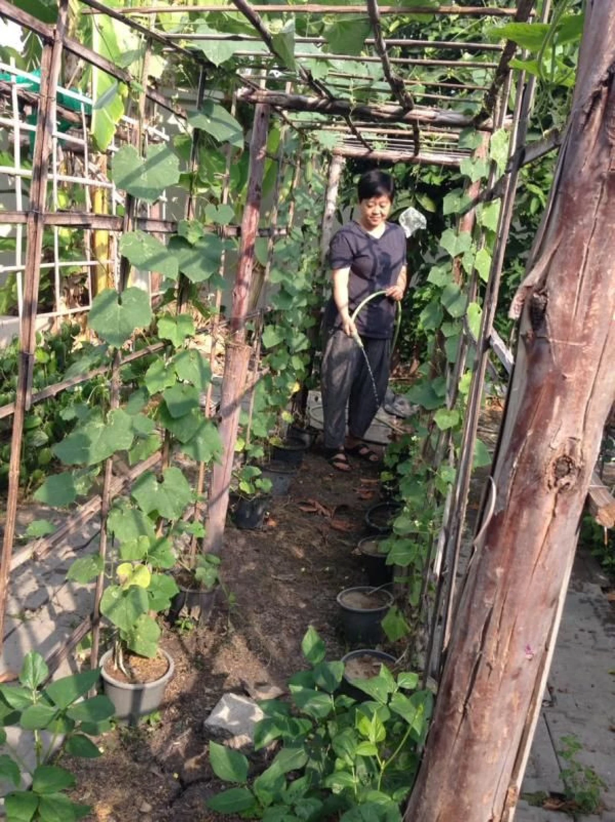 สันทนา รัตนอำนวยศิริ ชีวิตดีๆ ช้าๆ ที่สุขภาพนำทางมา