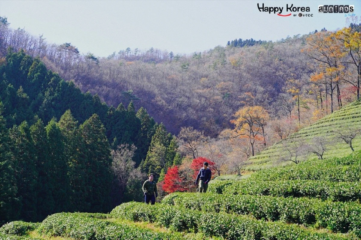 เที่ยวตามเราที่เกาหลี จอลลานัมโด