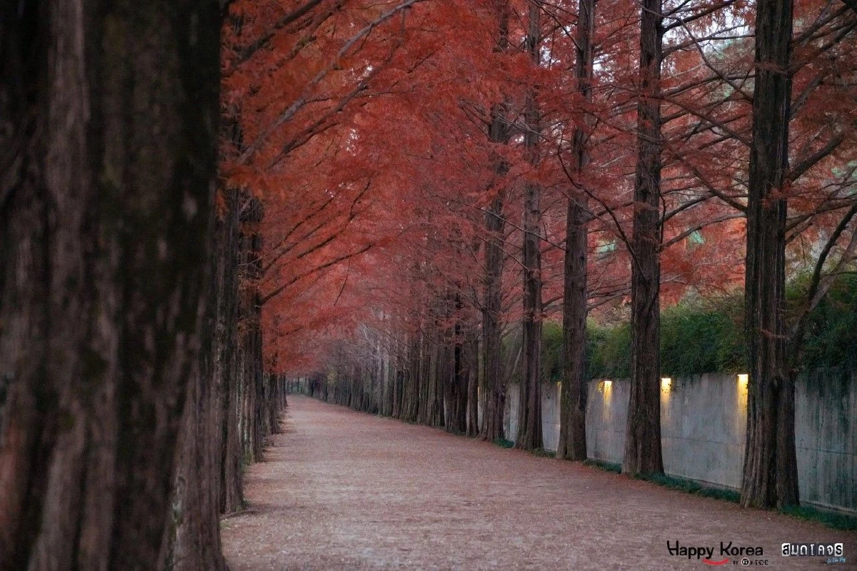 เที่ยวตามเราที่เกาหลี จอลลานัมโด