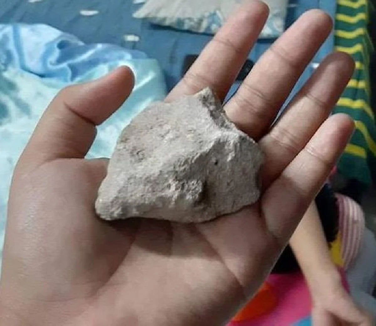 "เคราะห์ดีไม่ถูกหัวเด็กน้อย" สาวไล่น้องหมาเห่าตี5 รุ่งขึ้นถูกหนังสติ๊กยิงใส่ห้องนอน