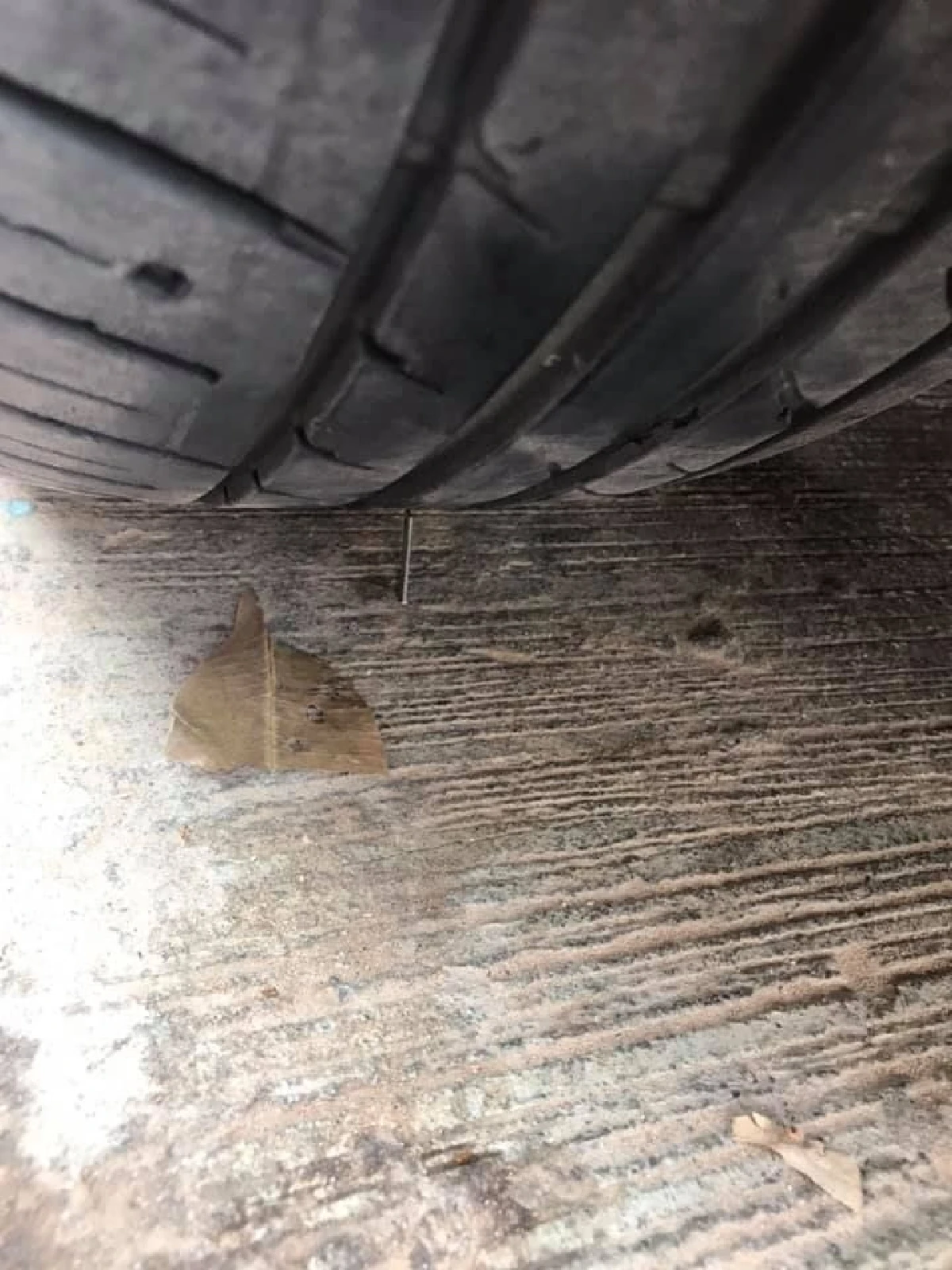 สลดใจ! นร.ป.5 แค้นถูกดุวางตะปูรถครูสาวแก้เผ็ด