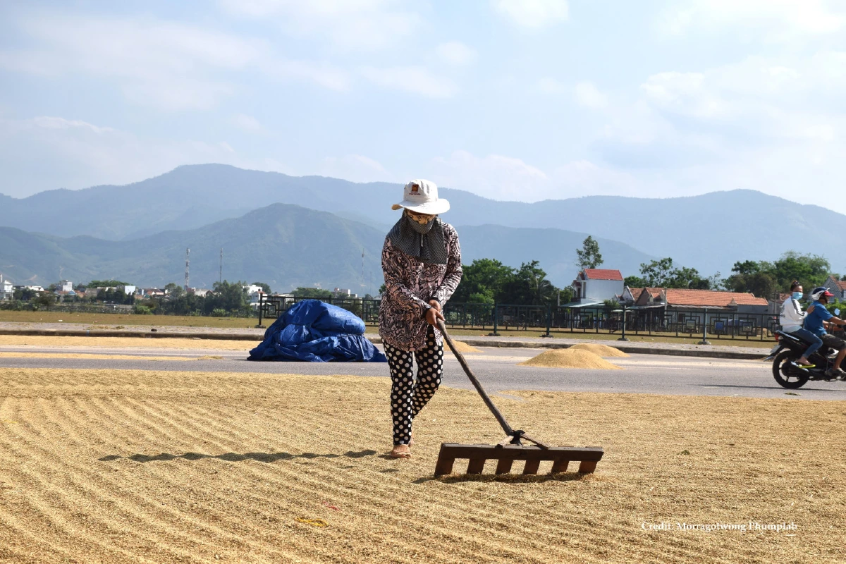 เมื่อข้าวเวียดนาม บุกตลาดโลก
