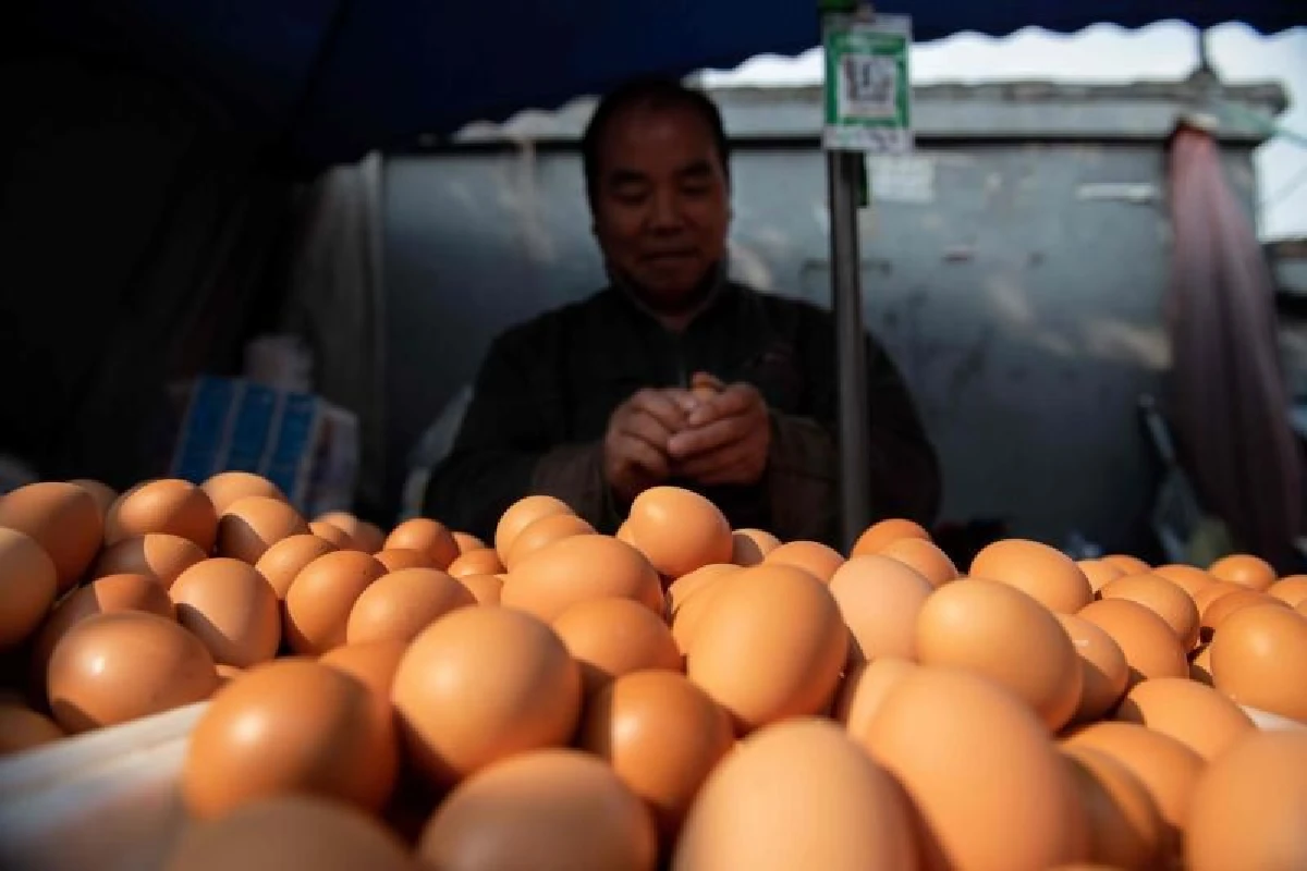 ทานไข่มากกว่า 3 ฟองต่ออาทิตย์ เสี่ยงตายเร็ว?