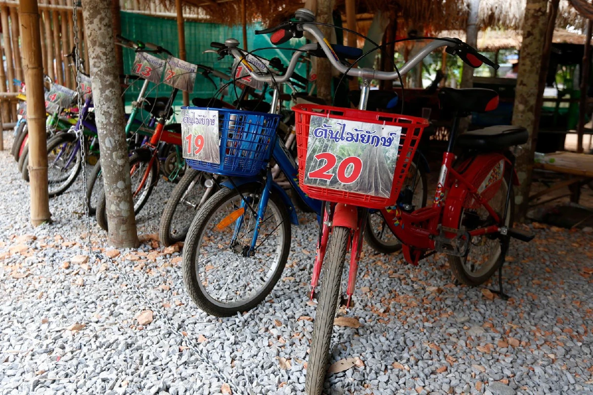 เที่ยวช้าๆ ที่บ้านสะนำ