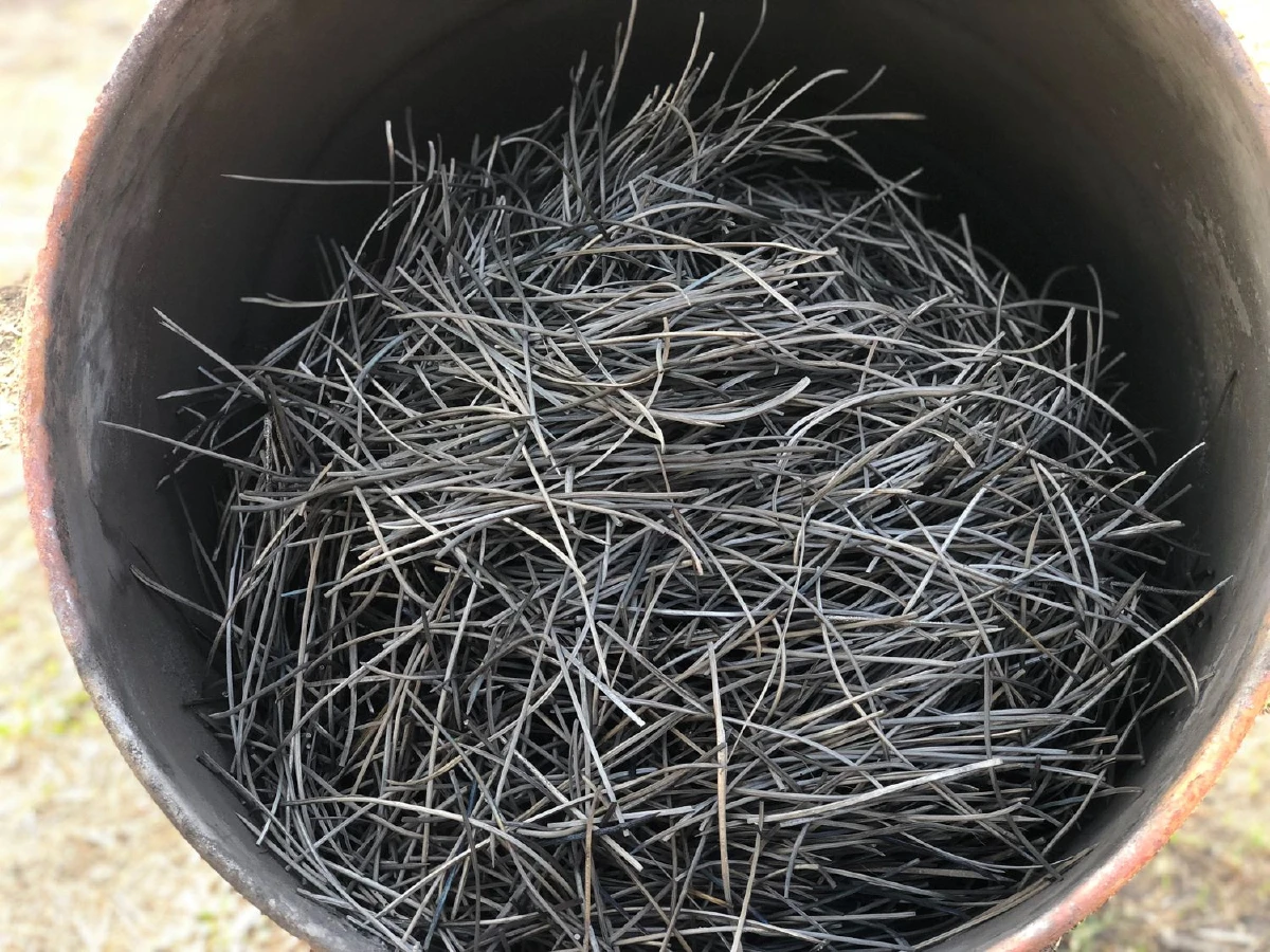 ส่องเศรษฐกิจฐานชีวภาพ พลังไม้ไผ่ ที่ ‘บ้านผาปัง’