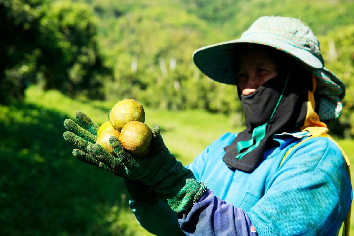 ‘ตาเนาะแมเราะ’ แกะรอยแหล่งกำเนิดอาหารเบตง