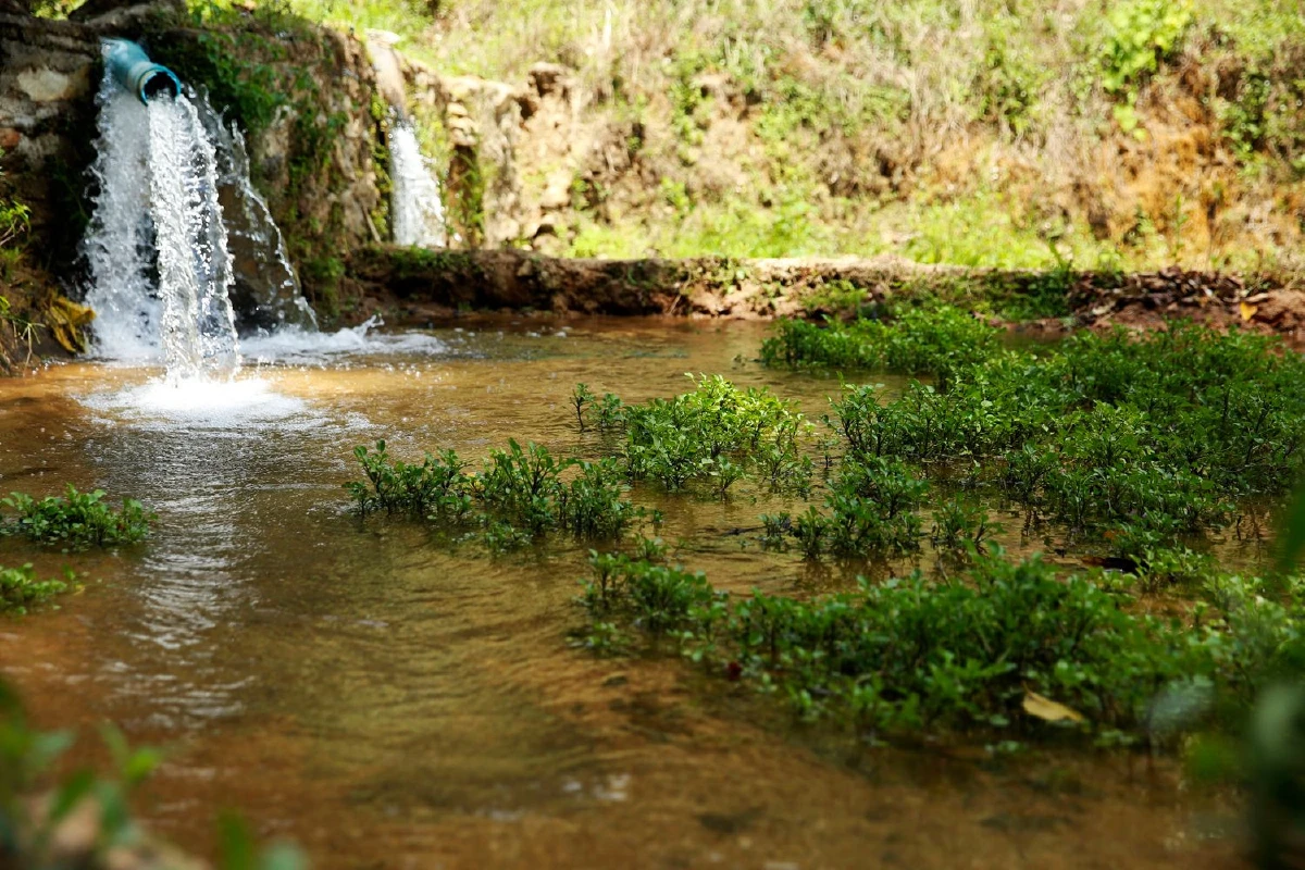 ‘ตาเนาะแมเราะ’ แกะรอยแหล่งกำเนิดอาหารเบตง