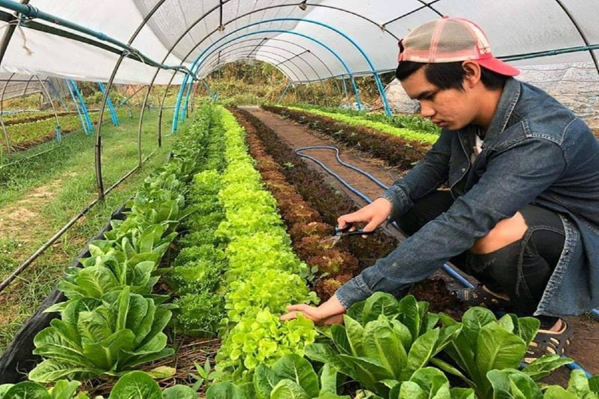 จุลเทพ บุณยกรชนก คุณชายผักสลัดแห่งเมืองอ่างทอง จุลเทพ บุณยกรชนก คุณชายผักสลัดแห่งเมืองอ่างทอง