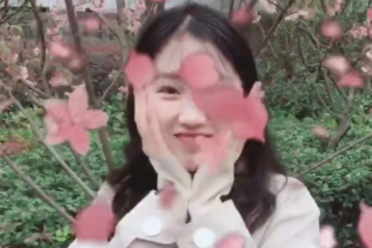 ม.อู่ฮั่นปิ๊งไอเดียฟิลเตอร์ซากุระร่วง กันทัวริสต์ทำต้นซากุระเสียหาย