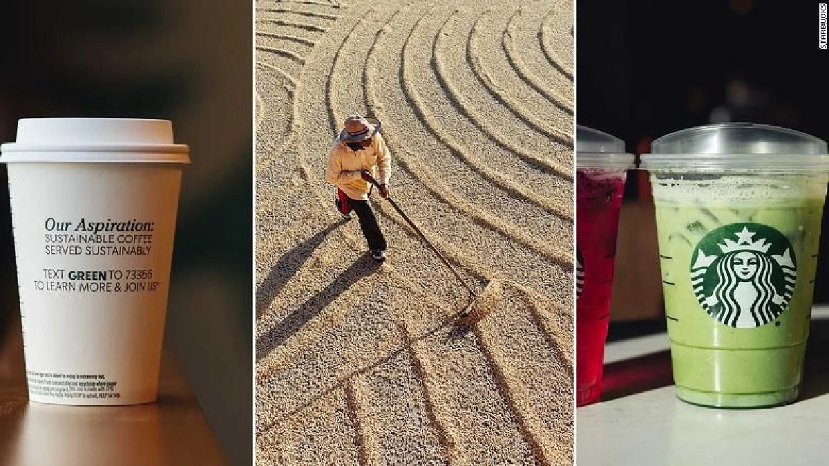 สตาร์บัคส์คลอดแก้วกระดาษย่อยสลายเป็นปุ๋ยได้