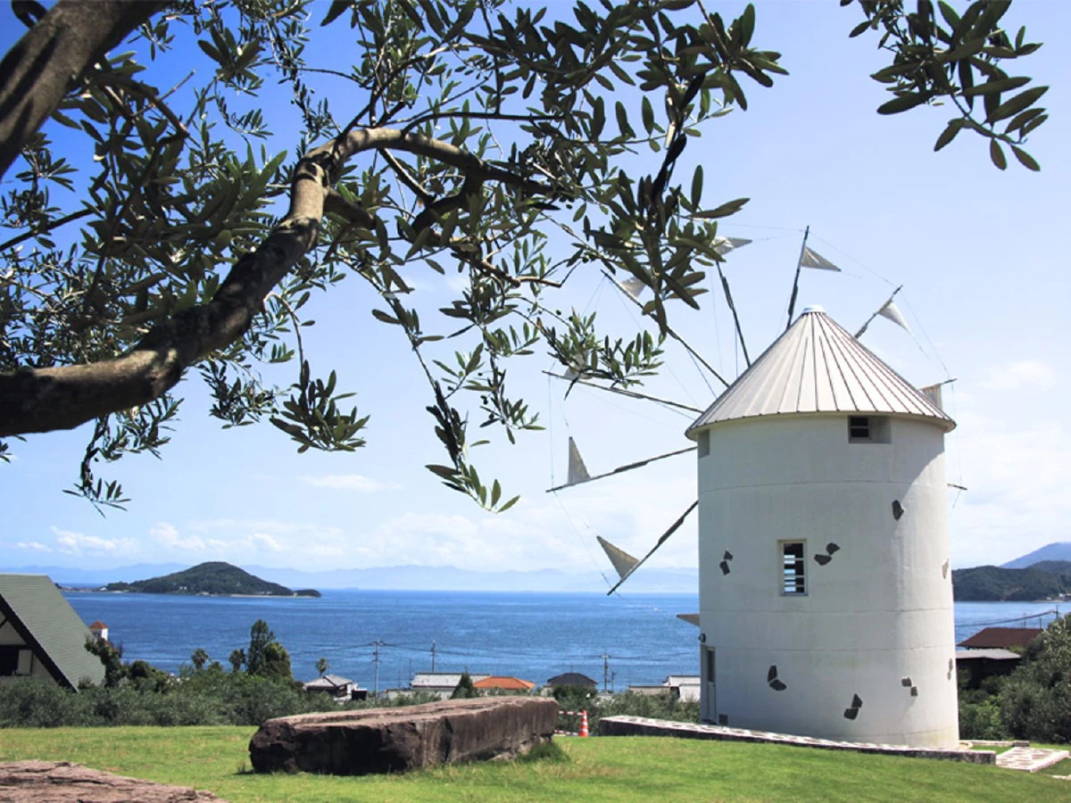 ชิโกคุ ครั้งแรก (10)