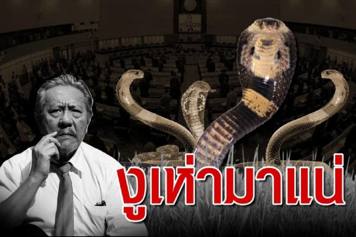 งูเห่ามาแน่! ชูวิทย์ วิเคราะห์สูตรพรรคการเมืองจับมือกันตั้งรัฐบาล งูเห่ามาแน่! ชูวิทย์ วิเคราะห์สูตรพรรคการเมืองจับมือกันตั้งรัฐบาล