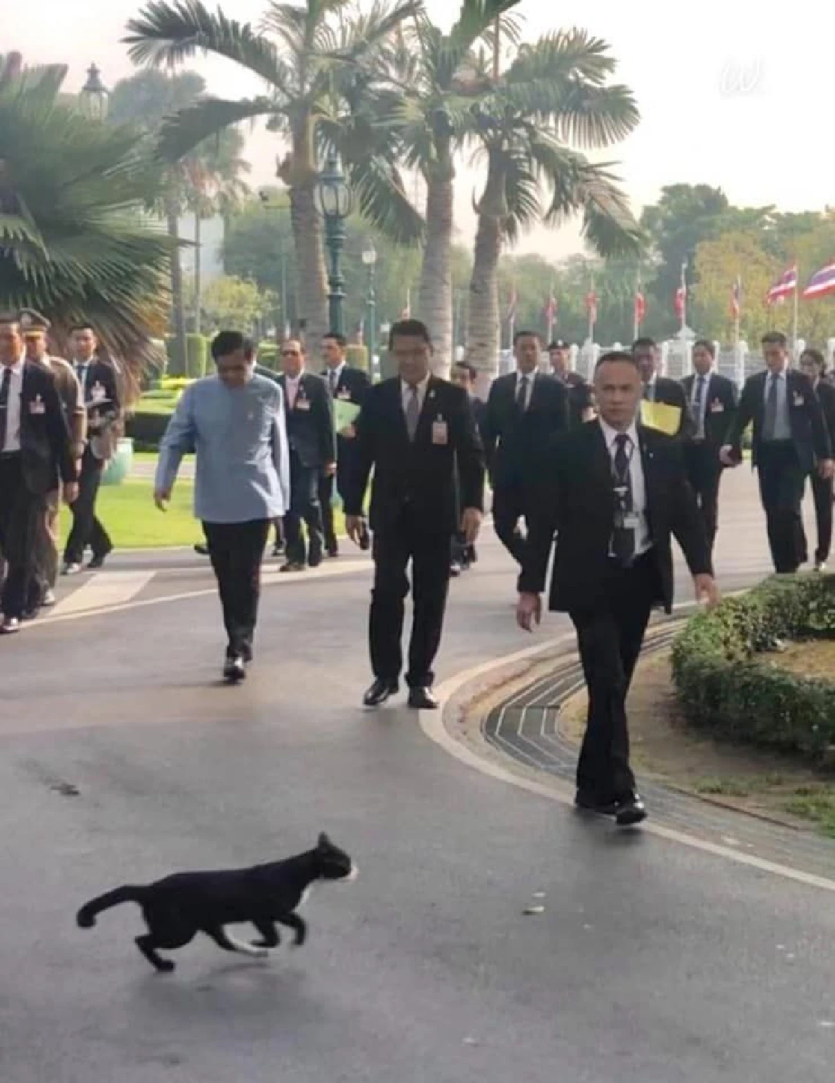 "สนธิรัตน์"มั่นใจพลังประชารัฐรวมเสียงข้างมากตั้งรัฐบาลได้