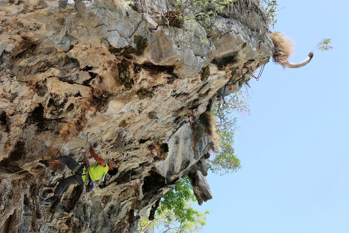 ปีนผา ไต่ระฟ้าท้าแรงโน้มถ่วง