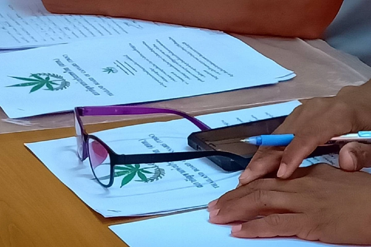 สภากัญชาฯตั้งกก.ระดับตำบล-หมู่บ้านหนุนการปลูกเพื่อรักษาโรค-ส่งออก