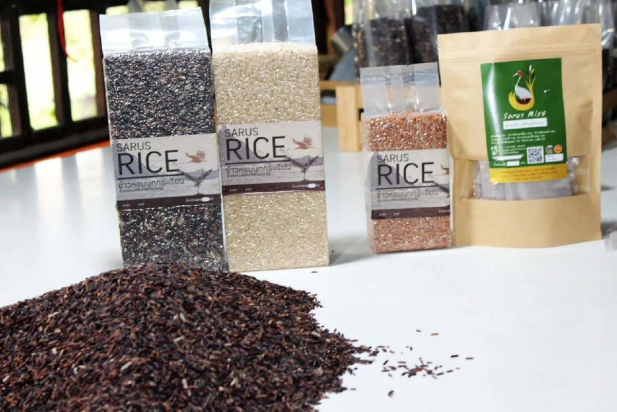 พช.ผุดไอเดียสร้างแบรนด์'ข้าวนกกระเรียน'