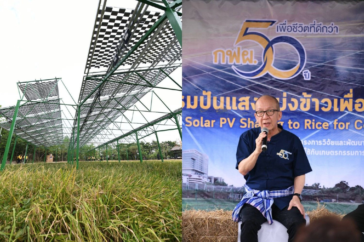 กฟผ.ติดโซลาร์เซลล์ในนาข้าว หวังเป็นพลังงานให้เกษตรกรใช้ กฟผ.ติดโซลาร์เซลล์ในนาข้าว หวังเป็นพลังงานให้เกษตรกรใช้