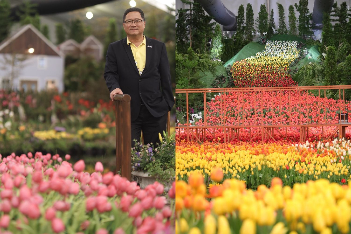 ปตท.ชวนเที่ยวชมทิวลิปบานหน้าร้อนที่ระยอง ปตท.ชวนเที่ยวชมทิวลิปบานหน้าร้อนที่ระยอง