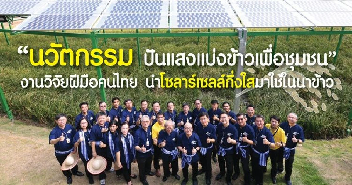 “นวัตกรรมปันแสงแบ่งข้าวเพื่อชุมชน” งานวิจัยฝีมือคนไทย คิดค้นโซลาร์เซลล์กึ่งใสมาใช้ในนาข้าว