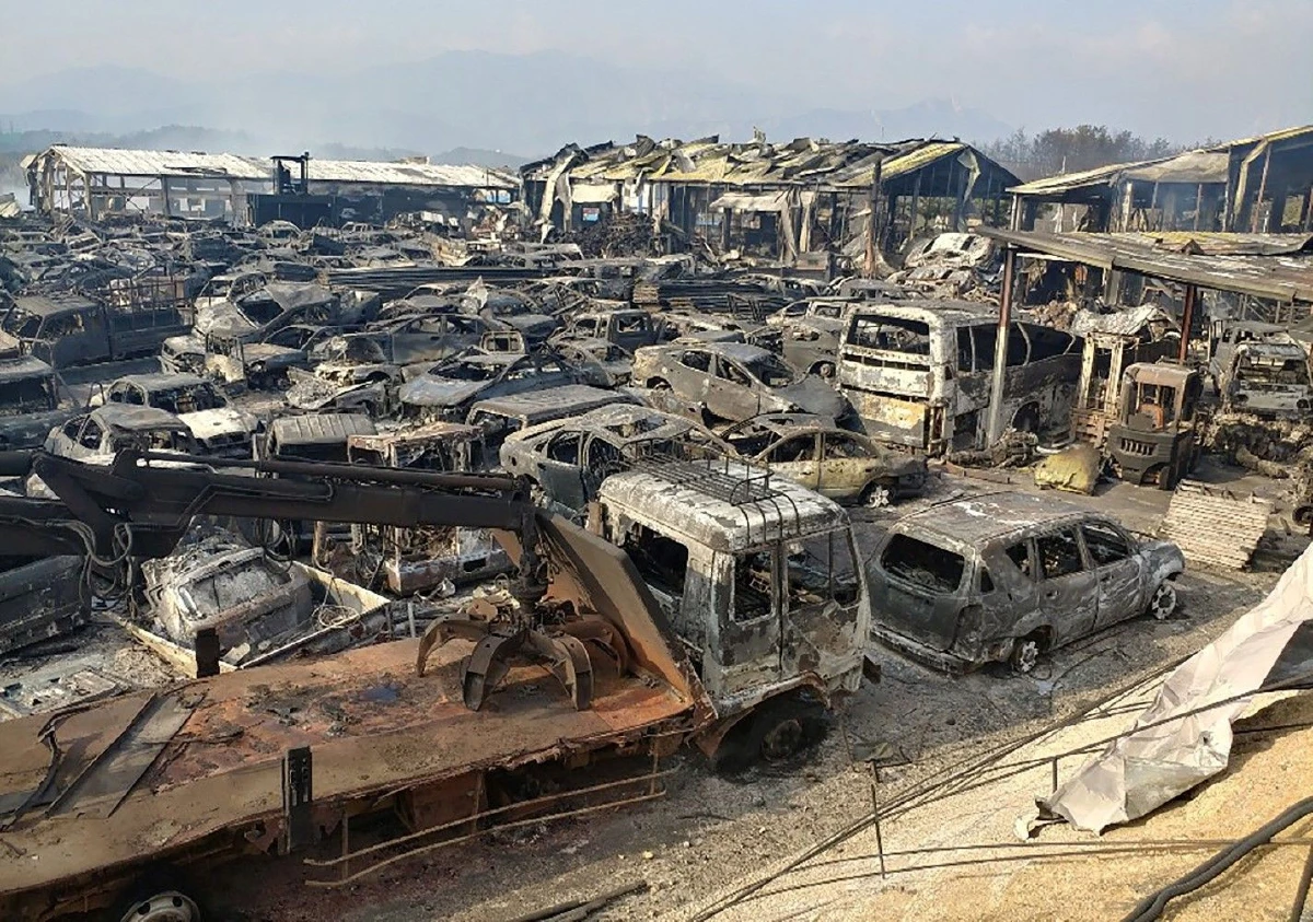 เปิดภาพความเสียหาย "ไฟป่าเกาหลีใต้" บ้านถูกเผากว่า400หลัง