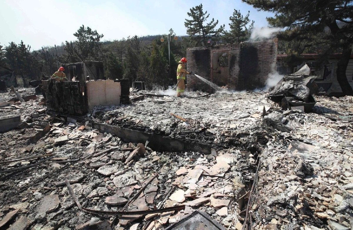 เปิดภาพความเสียหาย "ไฟป่าเกาหลีใต้" บ้านถูกเผากว่า400หลัง