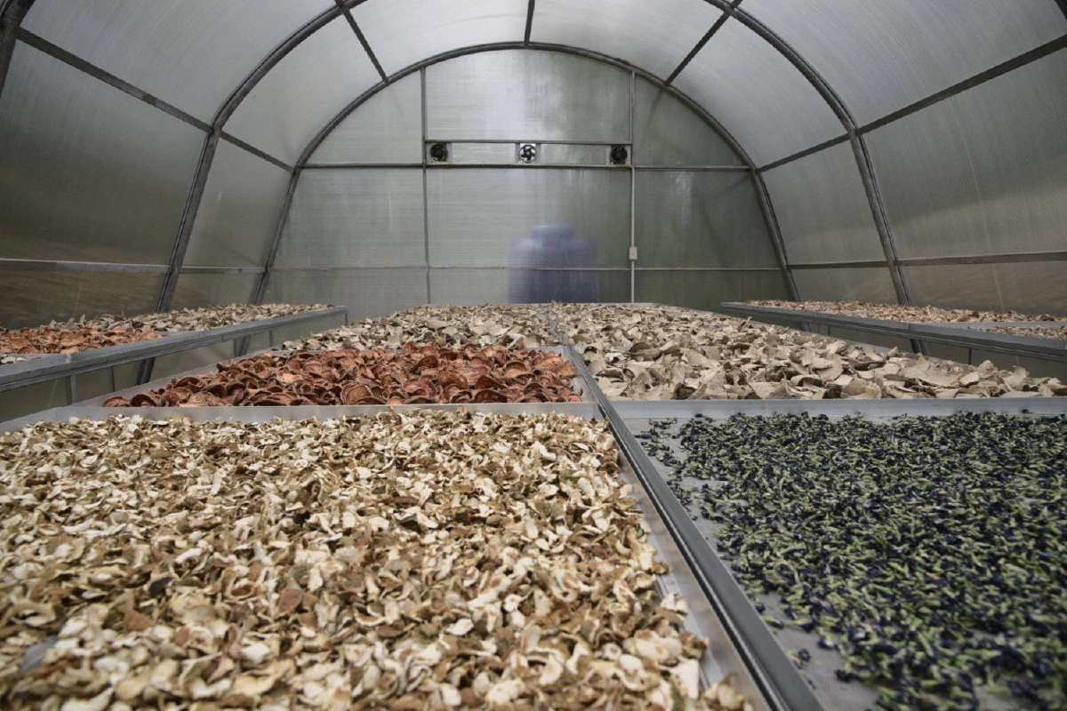 รมว.พลังงานตรวจโซลาร์เซลล์ภาคเกษตร