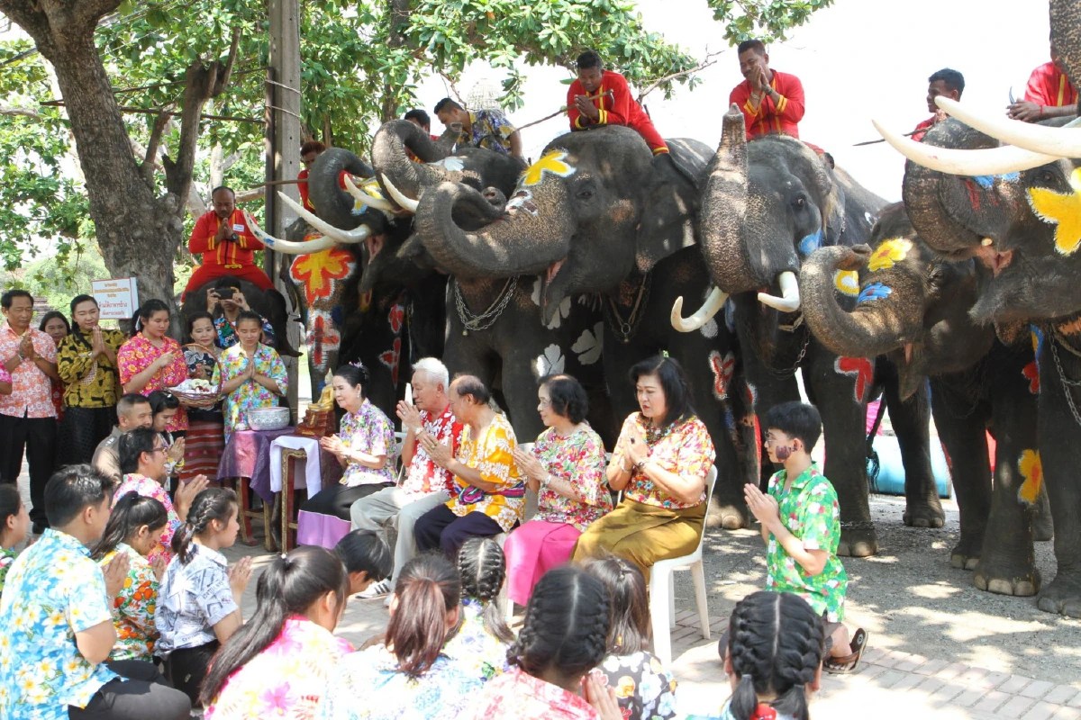 อยุธยาชวนนักท่องเที่ยวเล่นน้ำสงกรานต์กับช้างแสนรู้ 10 เชือก
