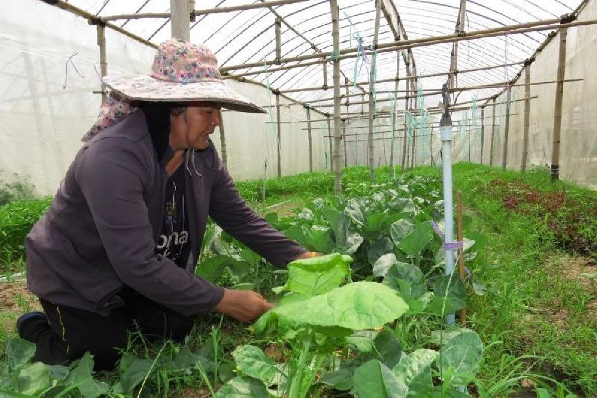 ธ.ก.ส.โชว์โครงการนโยบายรัฐ ดันรายได้เกษตรกรเพิ่ม 26.49%