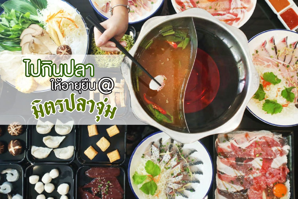 ไปกินปลาให้อายุยืน @มิตรปลาจุ่ม ลาซาล ไปกินปลาให้อายุยืน @มิตรปลาจุ่ม ลาซาล