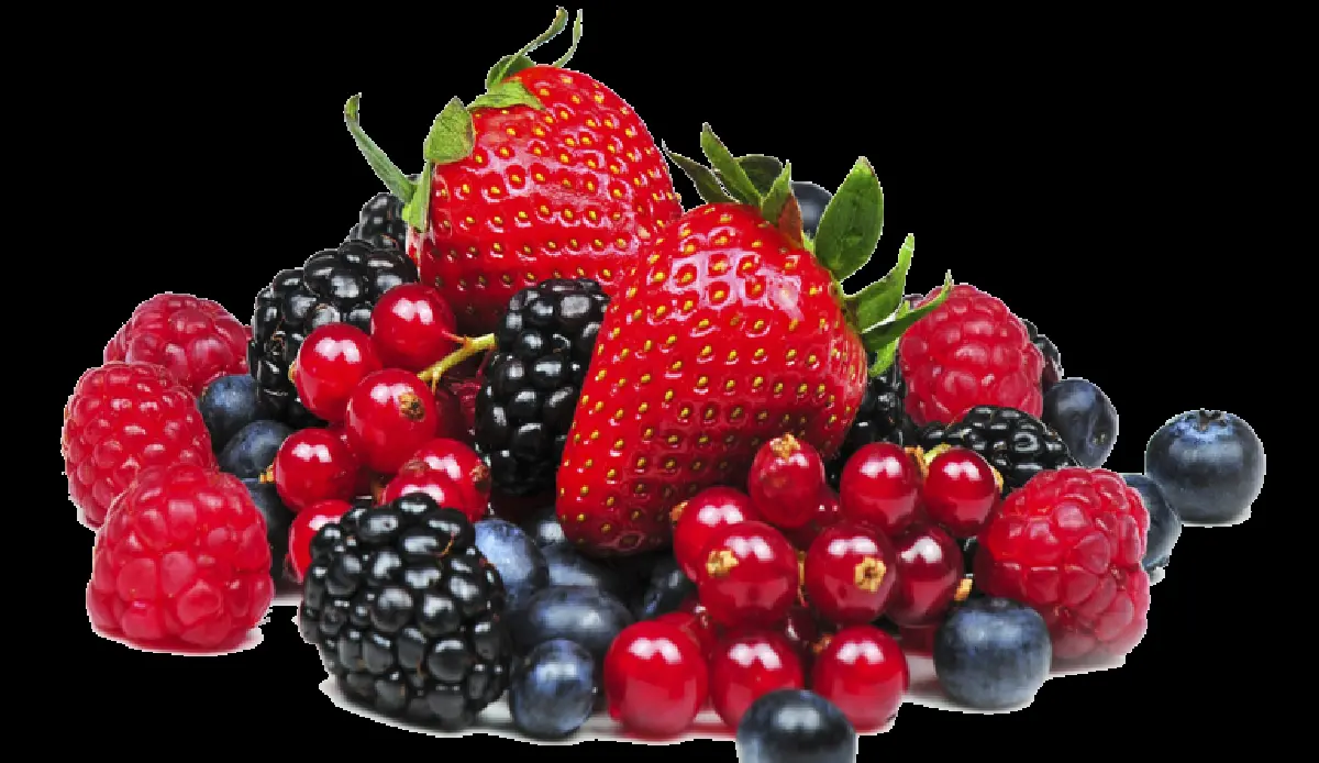 กินอาหารช่วยเสริมภูมิคุ้มกัน ให้เป็นเกราะป้องกันมลพิษ