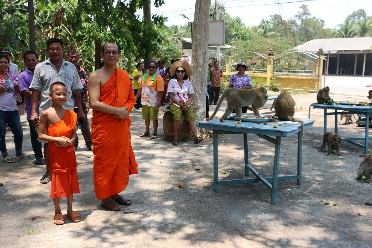 ถูกใจเจ้าจ๋อ!เลี้ยงโต๊ะจีนฝูงลิงป่าเนื่องในวันสงกรานต์