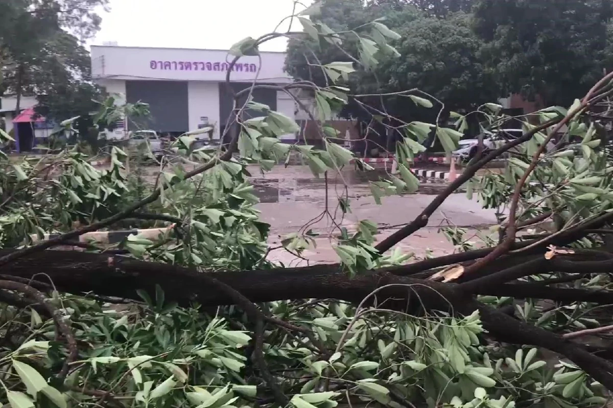 พายุลูกเห็บเท่าหัวแม่มือถล่มเมืองสกลนครวัวตายบ้านหลังคาปลิว