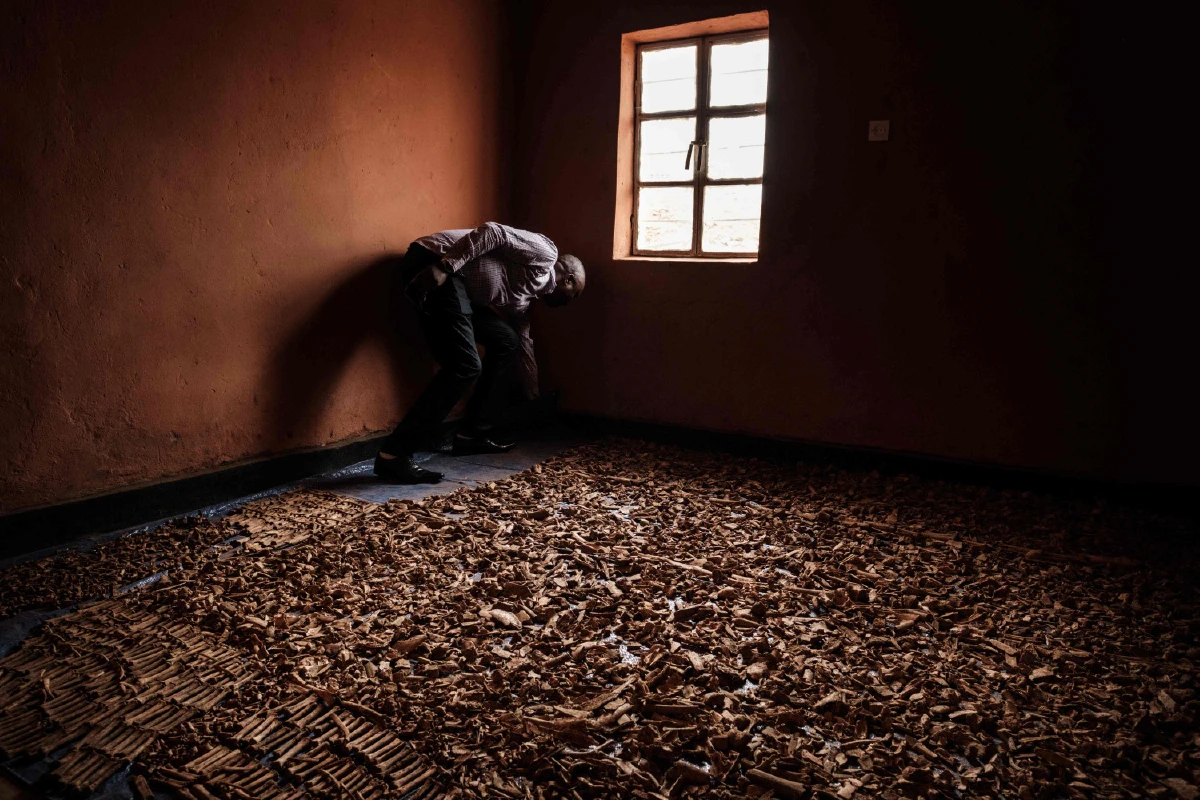 ผิวขาวกว่าก็ตายได้ เกิดอะไรขึ้นที่รวันดาเมื่อ 25 ปีก่อน?