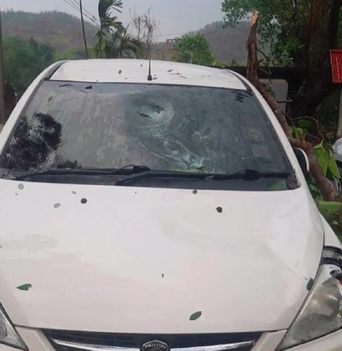 คาเฟ่ชื่อดังของ "นิว นภัสสร” ถูกพิษพายุฤดูร้อนเล่นงาน ได้รับความเสียหายหนัก