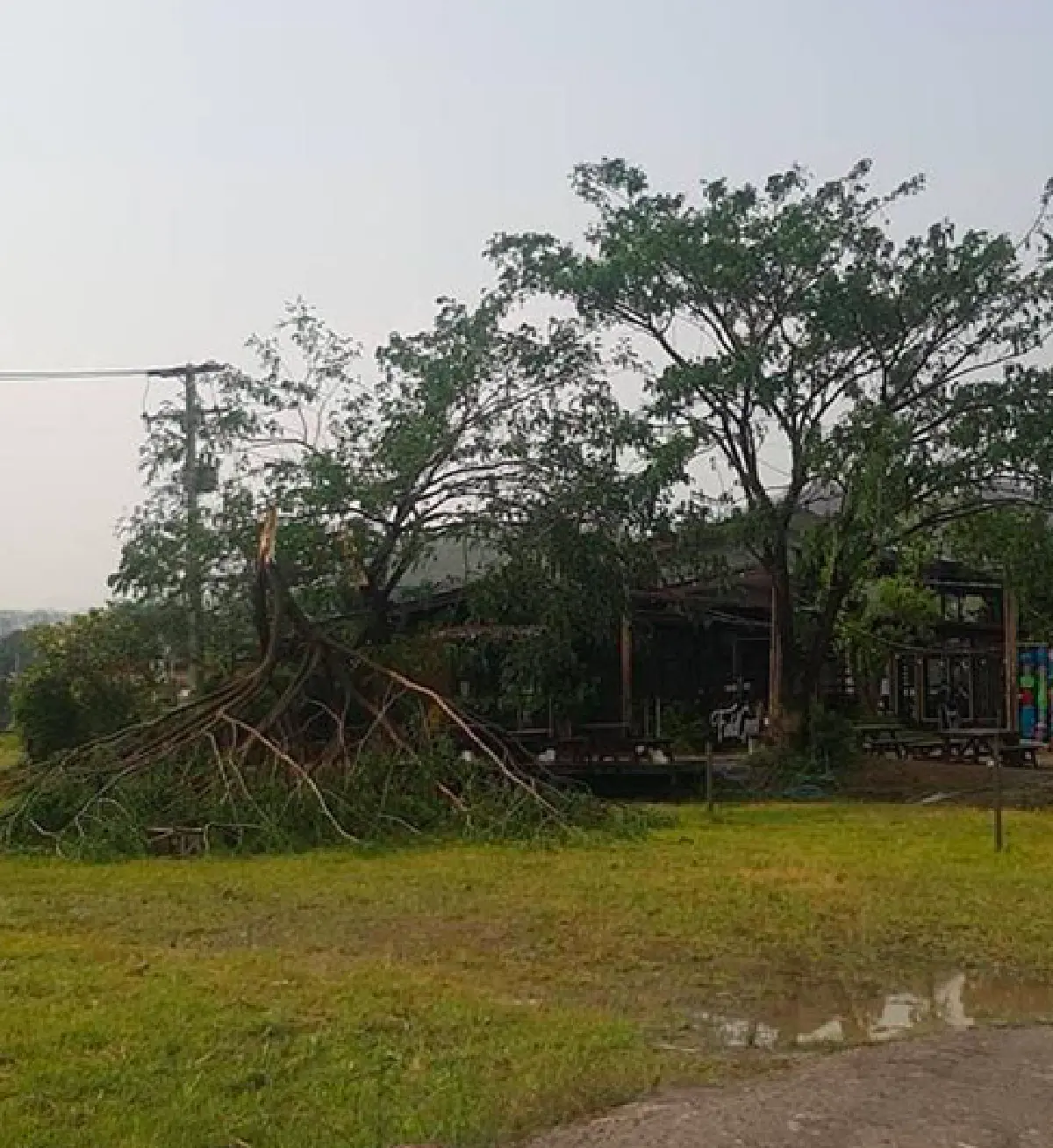 คาเฟ่ชื่อดังของ "นิว นภัสสร” ถูกพิษพายุฤดูร้อนเล่นงาน ได้รับความเสียหายหนัก