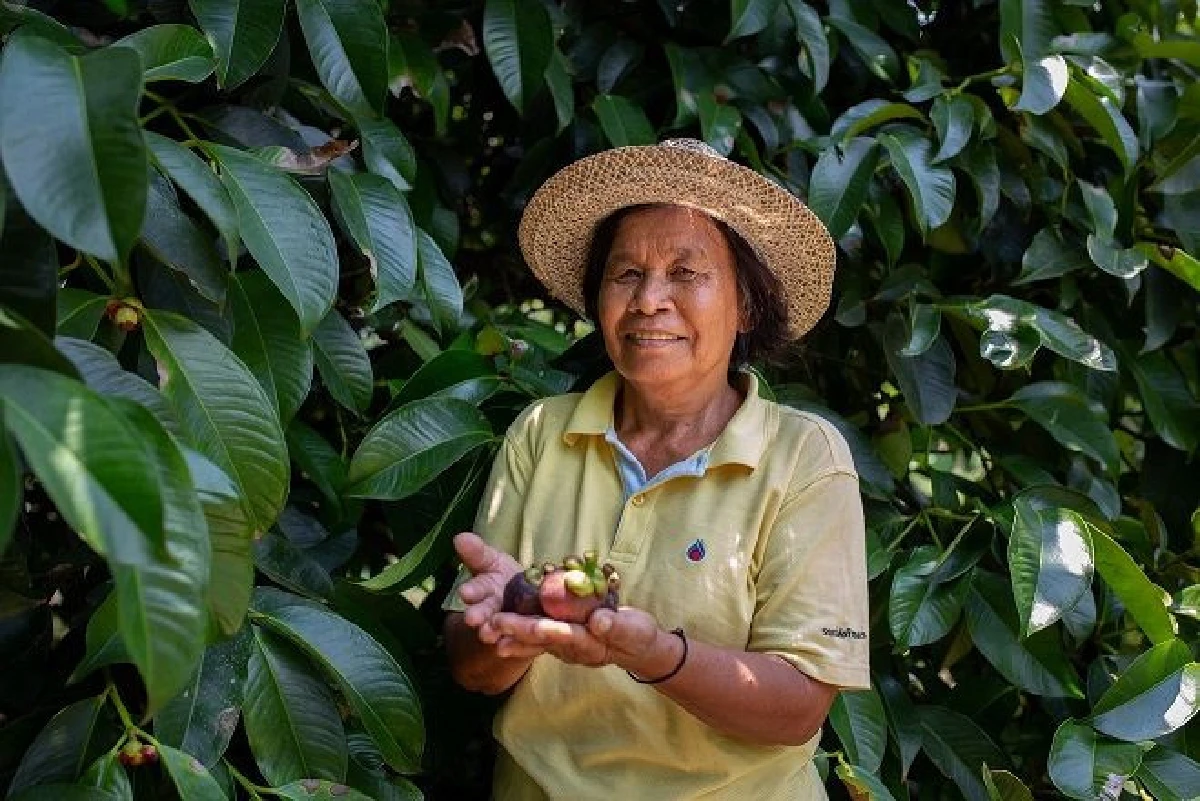 โครงการอันเนื่องมาจากพระราชดำริลำดับแรก ในสมเด็จพระเจ้าอยู่หัว รัชกาลที่10