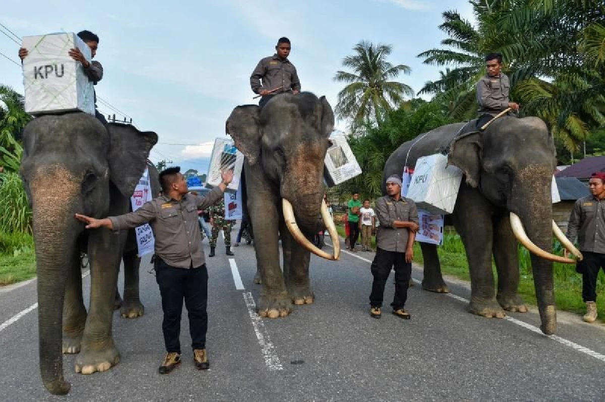 เจ้าหน้าที่กกต.อินโดฯนับร้อย สละชีวิตเพื่อภารกิจเลือกตั้งสุดหินทั่วประเทศ